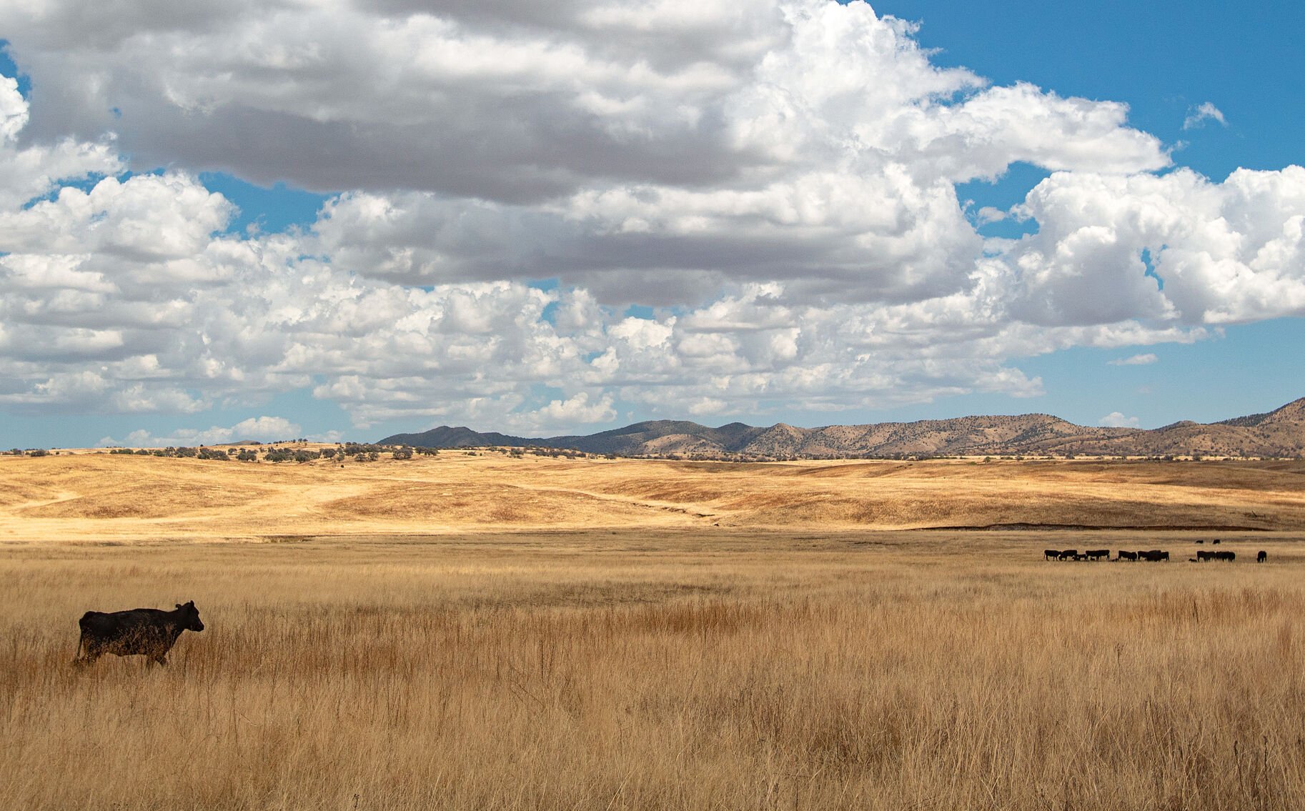 San Rafael Valley